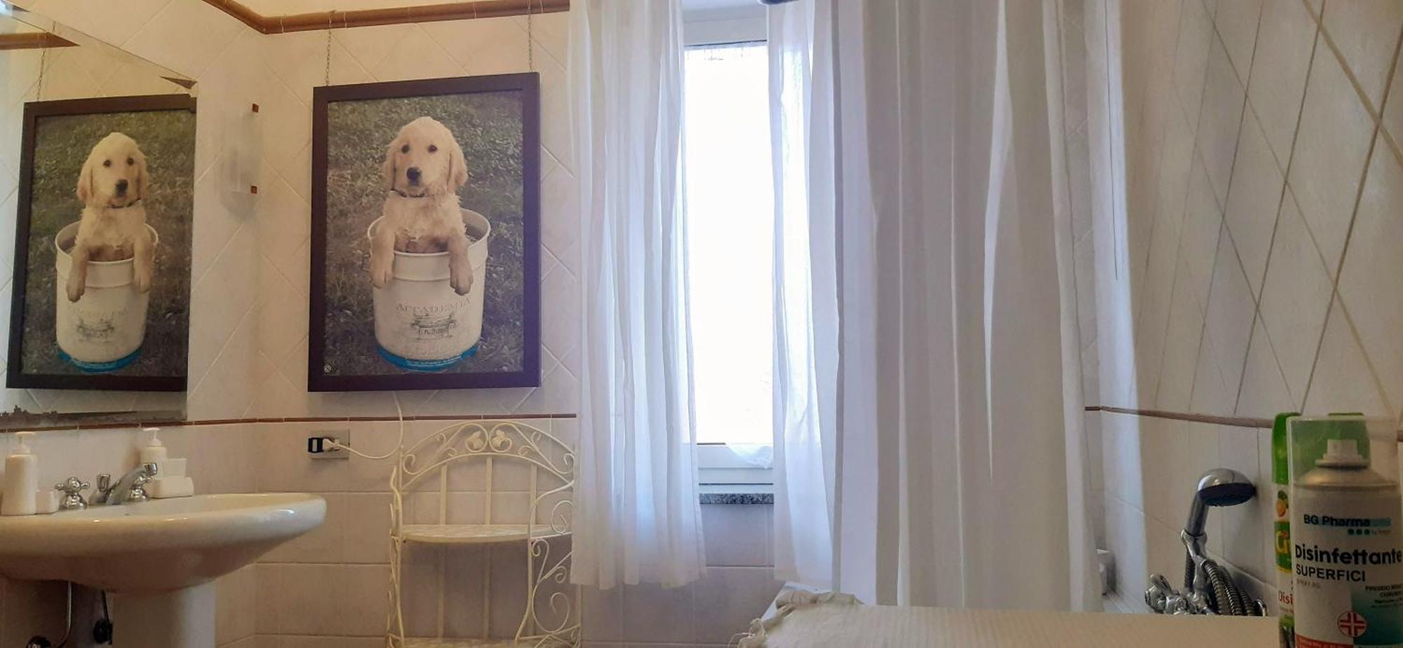 Fabiola B & B Marino Kültér fotó