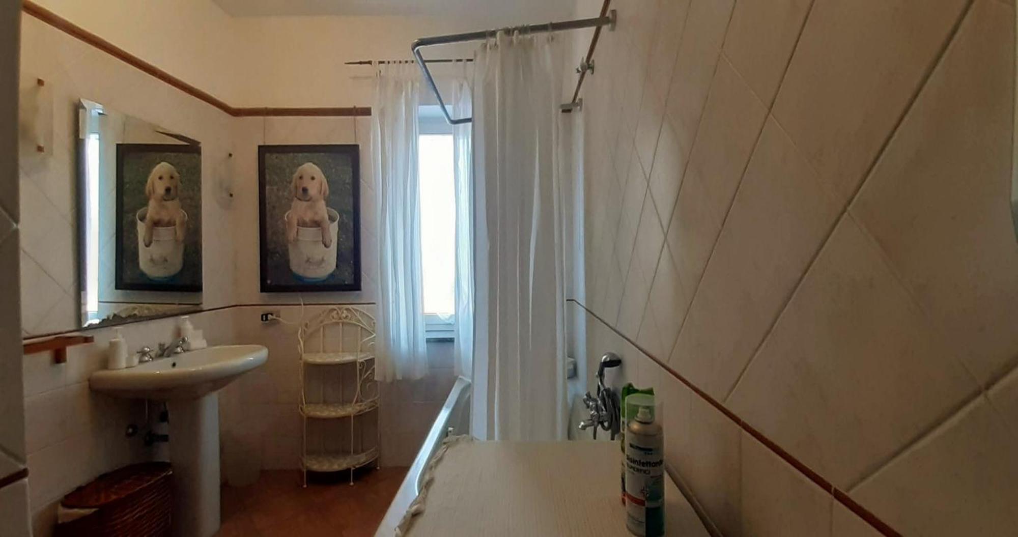 Fabiola B & B Marino Kültér fotó